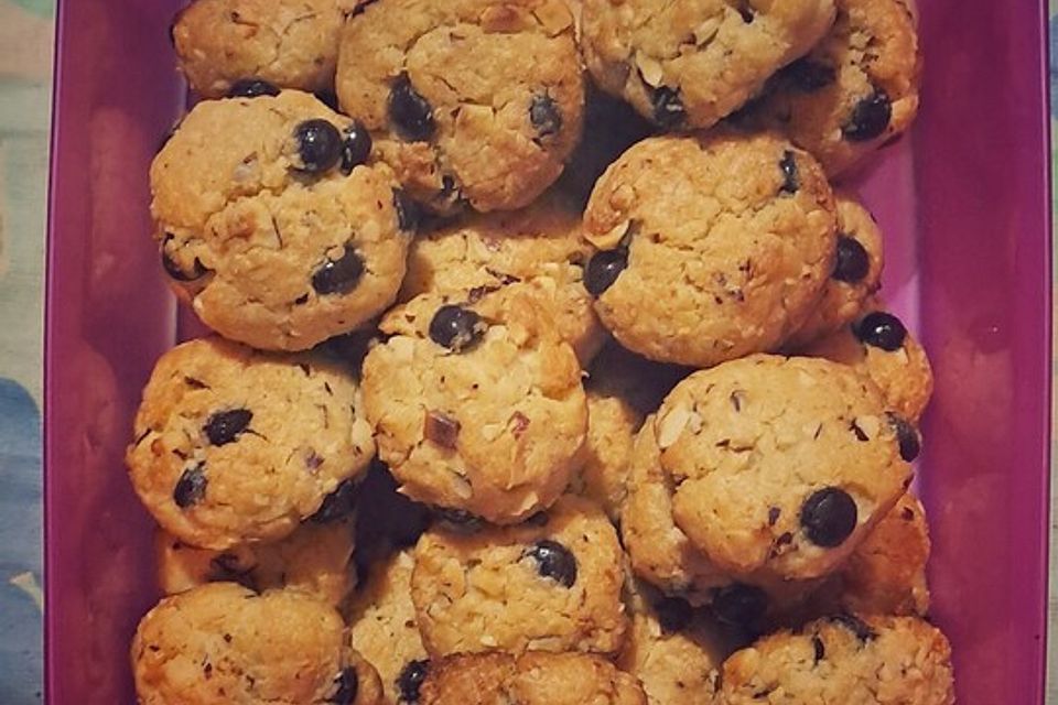 Haferflocken-Kokos Cookies mit Schokotropfen