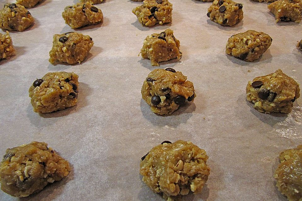 Haferflocken-Kokos Cookies mit Schokotropfen