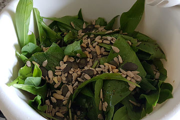 Giersch Pesto Von Katen Chefkoch 