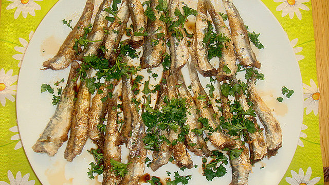 Shifokor kabinetida guruhli gey porno