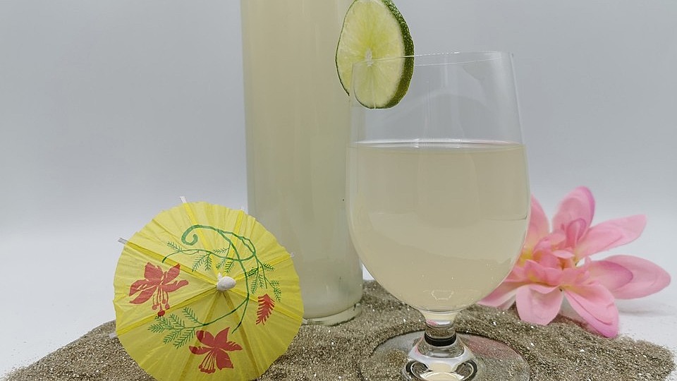 Karibisches Ingwerbier (alkoholfrei) von tarragon| Chefkoch