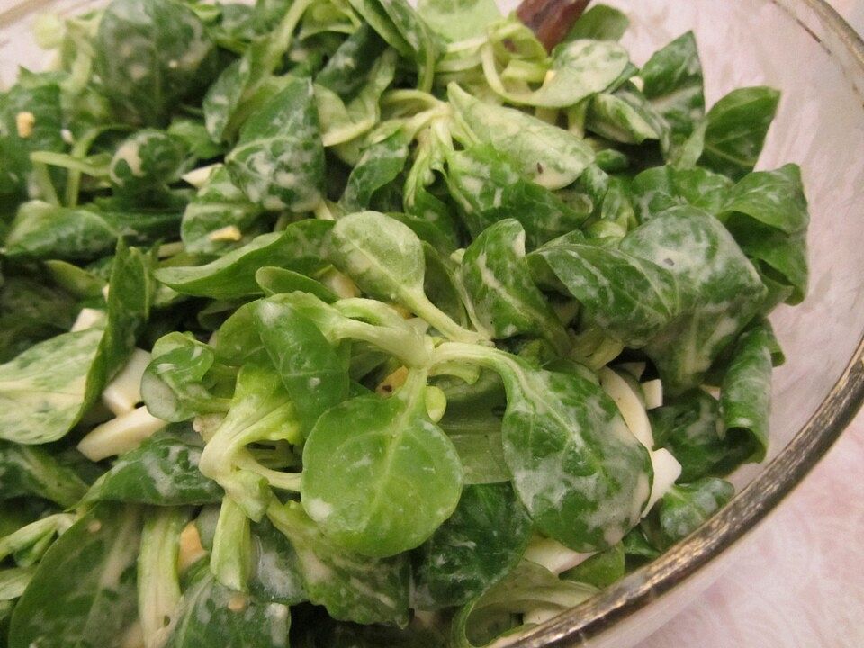 Feldsalat mit einfacher, leckerer Salatsauce von anlu27| Chefkoch