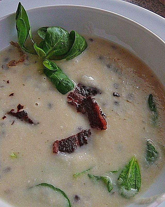 Petersilien-Linsen Suppe