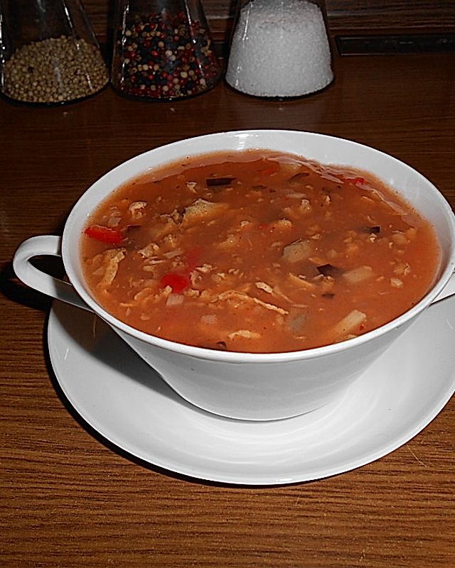 Sauer-scharfe Suppe