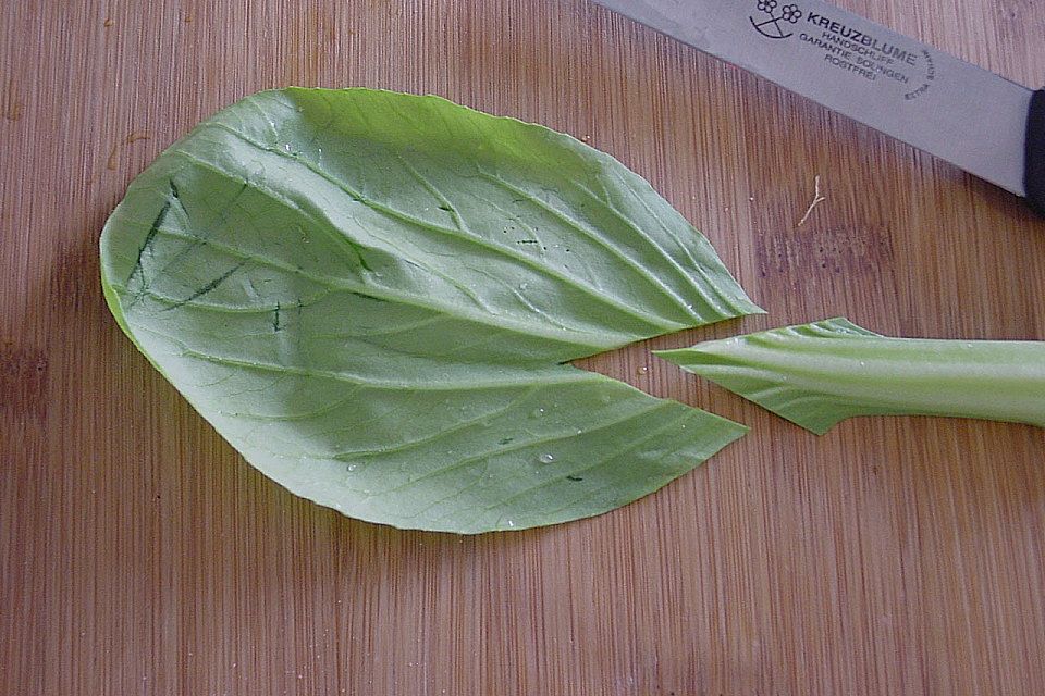 Hoisin - Hähnchen mit Pak - Choi