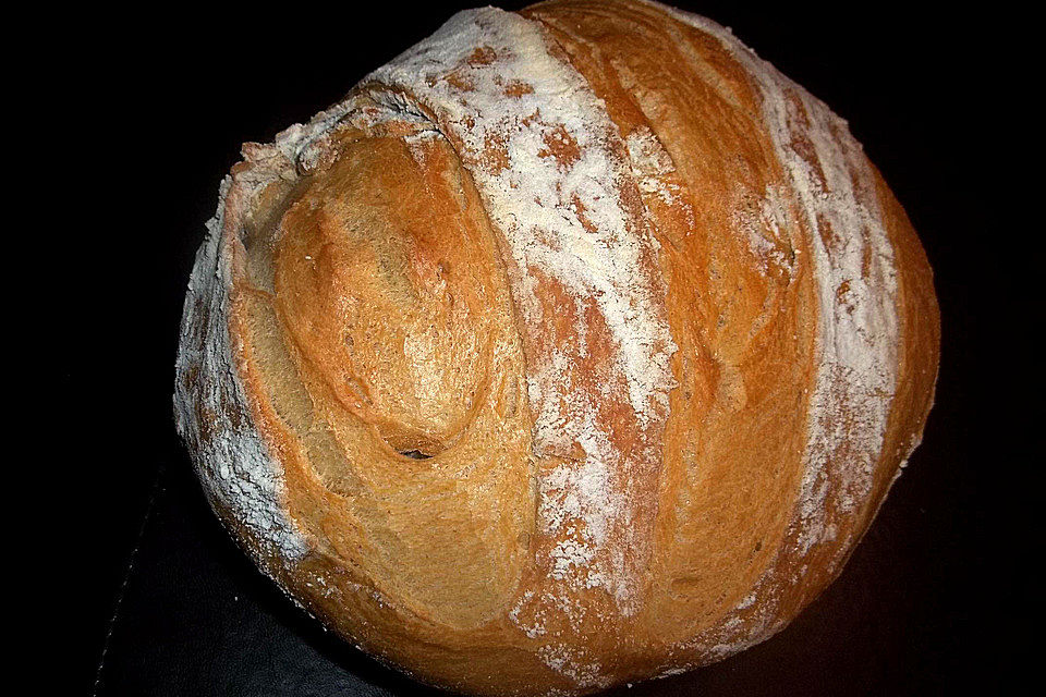 Pain de Campagne XX