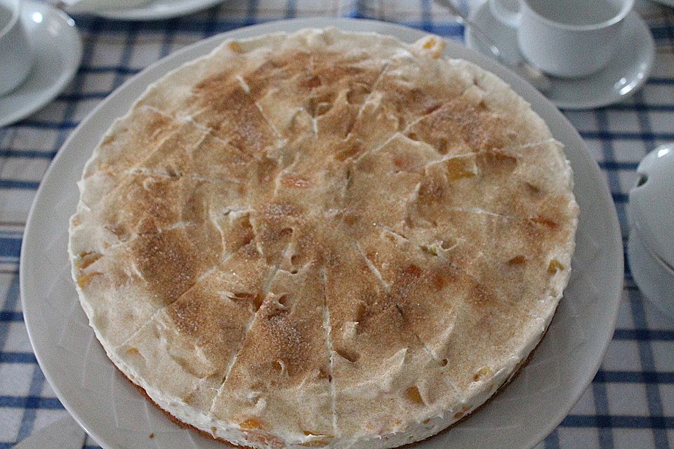 Fantakuchen mit Mandarinen und Pfirsichen