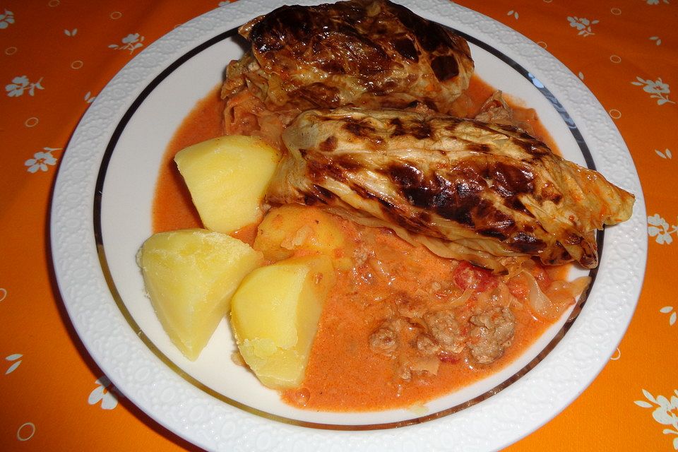 Spitzkohl-Rouladen in Tomatensauce