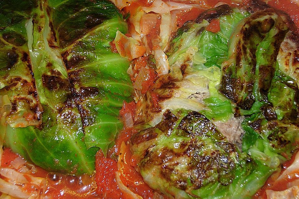 Spitzkohl-Rouladen in Tomatensauce