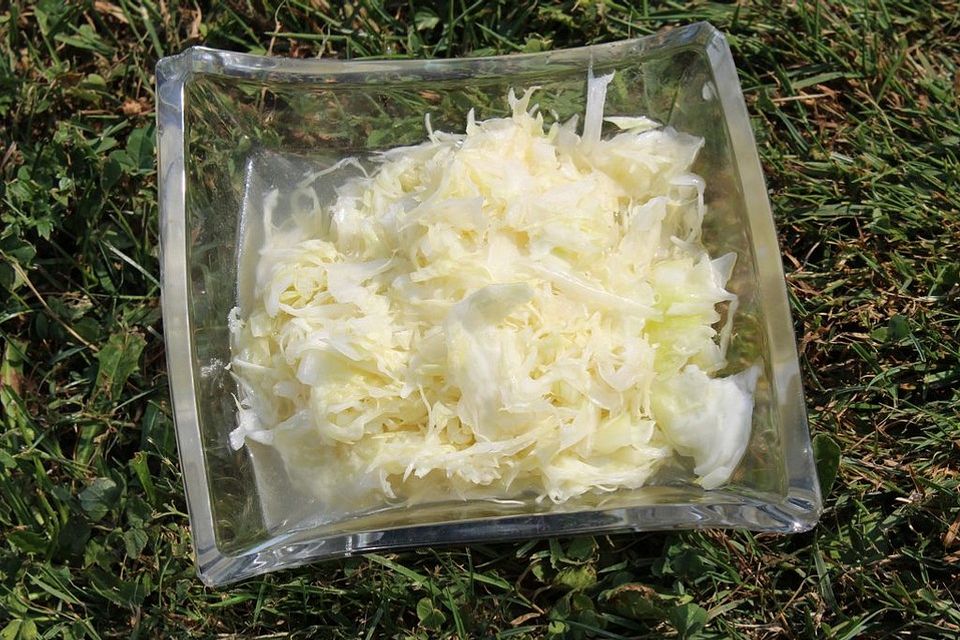 Spitzkohlsalat