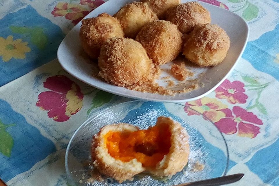 Zwetschgen- oder Marillenknödel mit Quarkteig