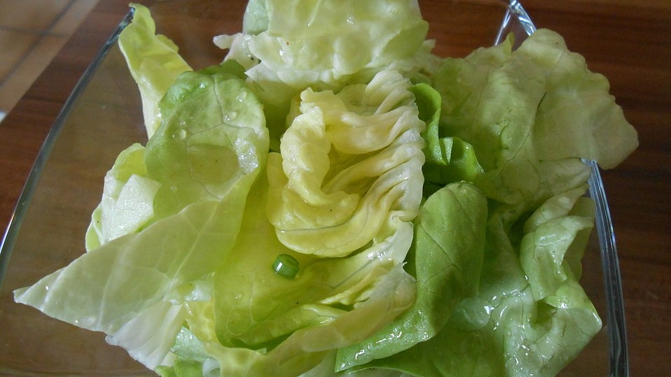 Serbischer grüner Salat von sue_ellen