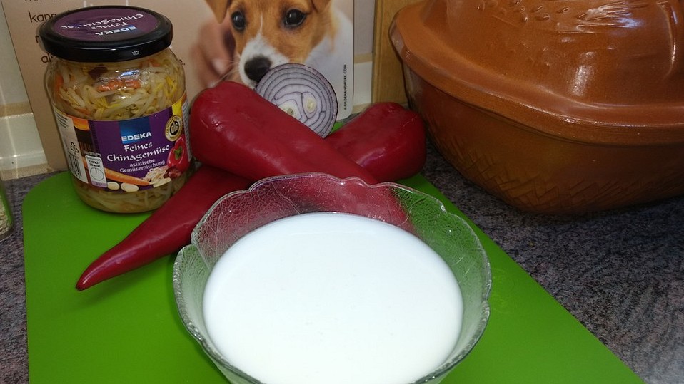 Kokosmilch, selbstgemacht von friaufeck