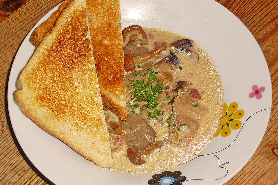 Speck-Champignon-Sauce