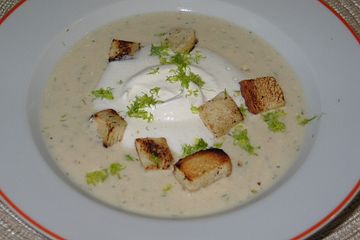 Fenchelsuppe Solitarius Von Fletcher Chefkoch 