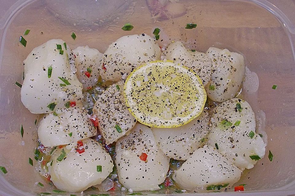 Jakobsmuscheln in Marinade zum Grillen