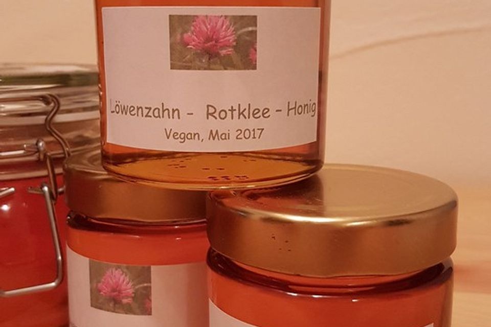 Löwenzahn-Rotkleeblüten-Honig