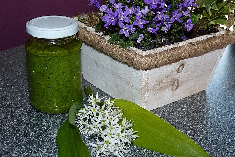 Bärlauch-Rucola Pesto