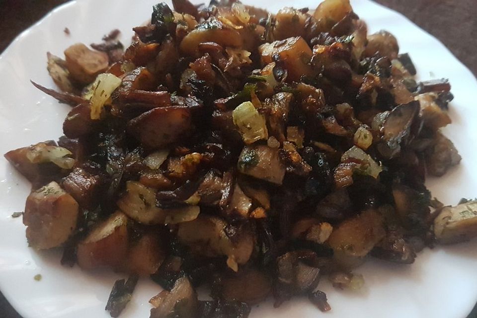 Frische Waldpilze Frische Waldpilze