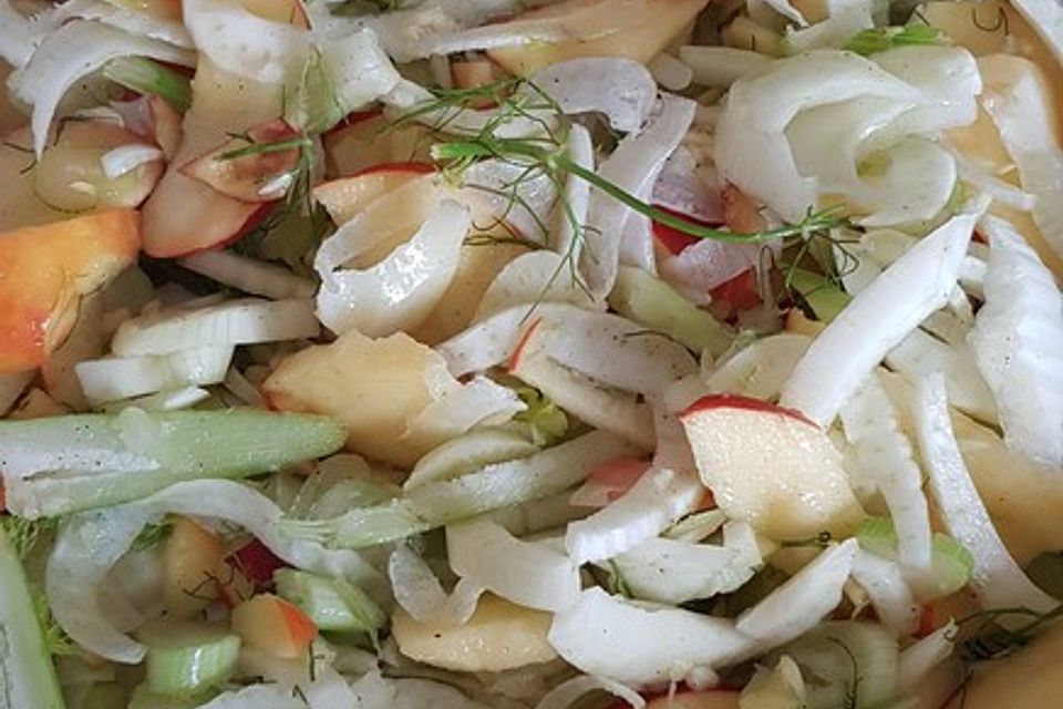 Italienischer Fenchelsalat Italienischer Fenchelsalat