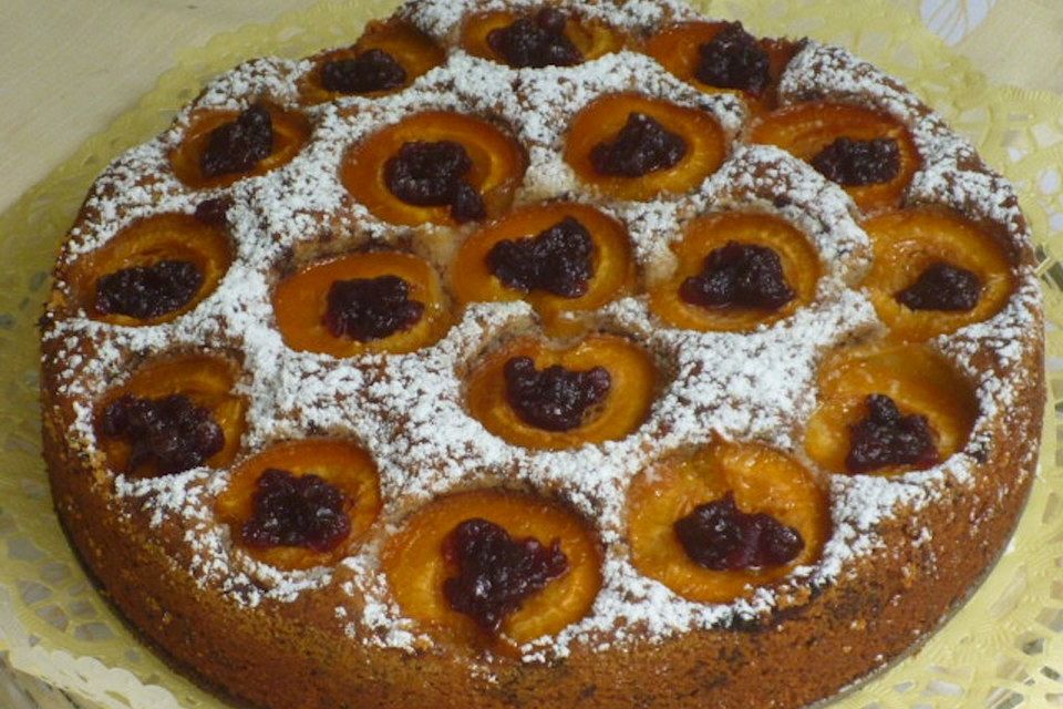 Versunkener Aprikosenkuchen mit Preiselbeeren