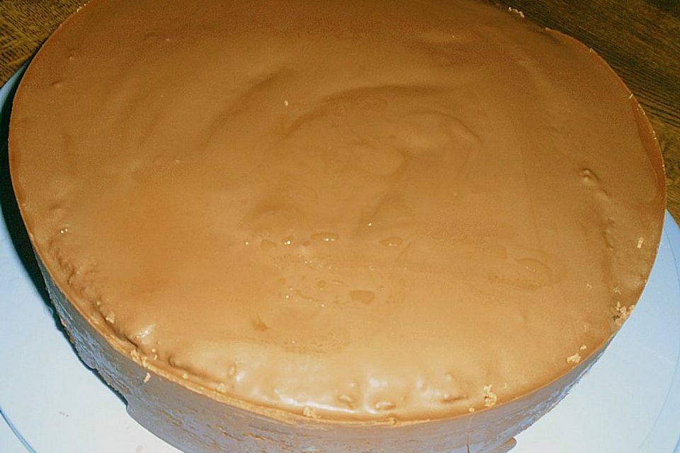 Vanillepudding-Heidelbeertorte mit Schokoladenüberzug