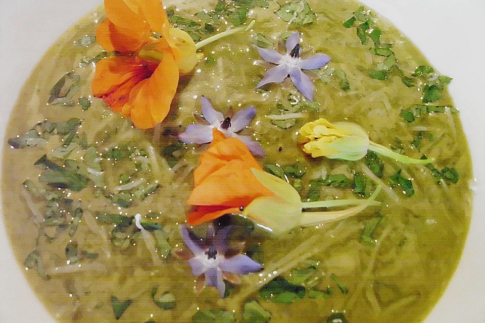 Borretschsuppe mit Rucola und Parmesan