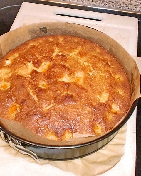 Aprikosenkuchen Rezepte | Chefkoch