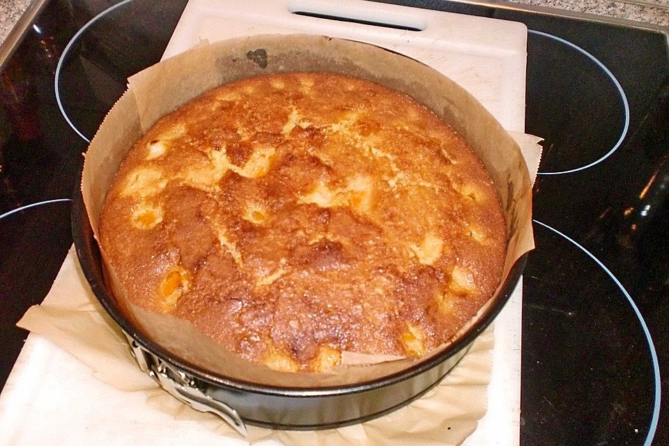 Aprikosenkuchen mit frischen Aprikosen und Fruchtspiegel