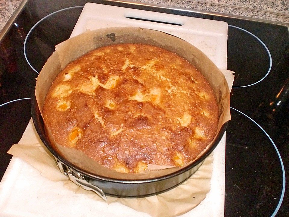 Aprikosenkuchen mit frischen Aprikosen und Fruchtspiegel von Soloman ...