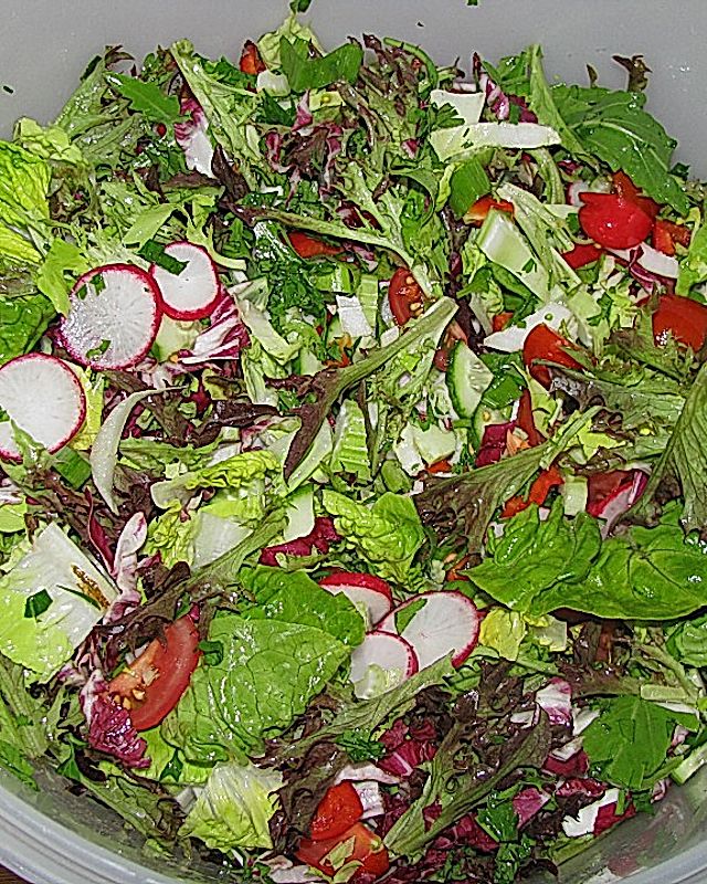 Grillfest-Salat