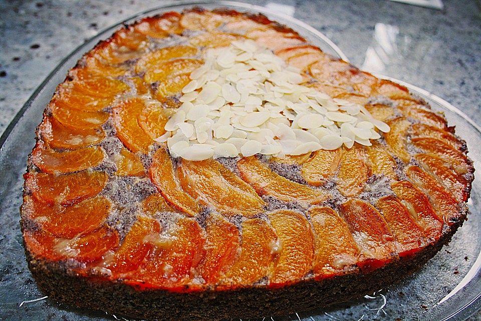 Waldviertler Marillenkuchen (Aprikosenkuchen)