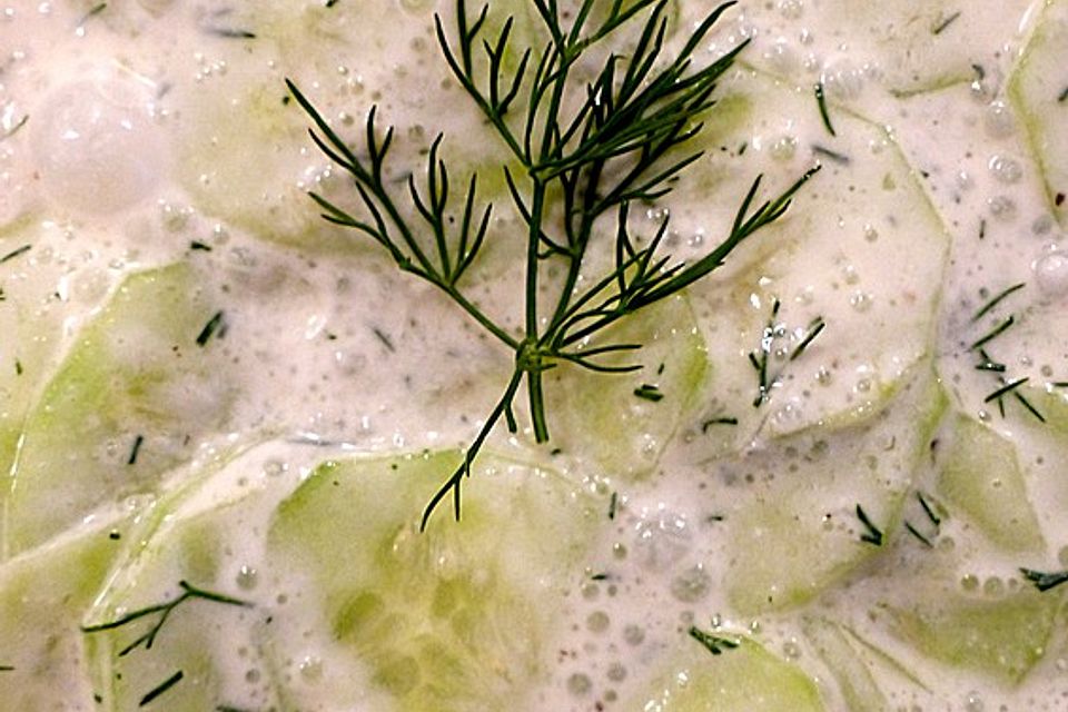 Chicas Gurkensalat mit Limettensaft und Dill