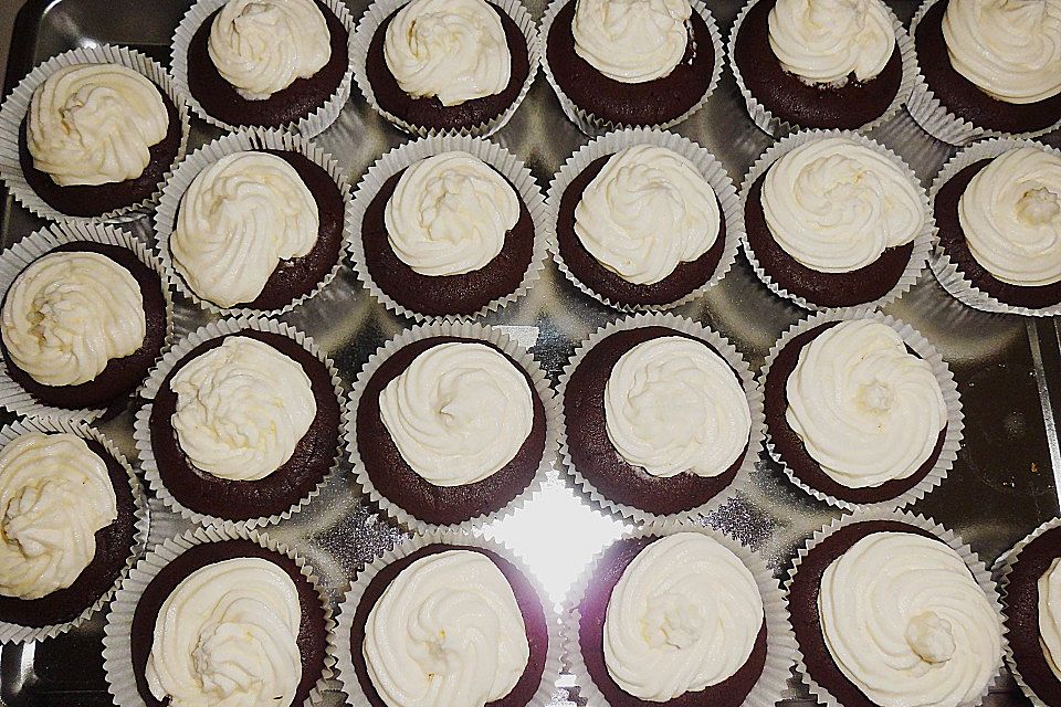 Crazy Cup Cakes Crazy Cup Cakes