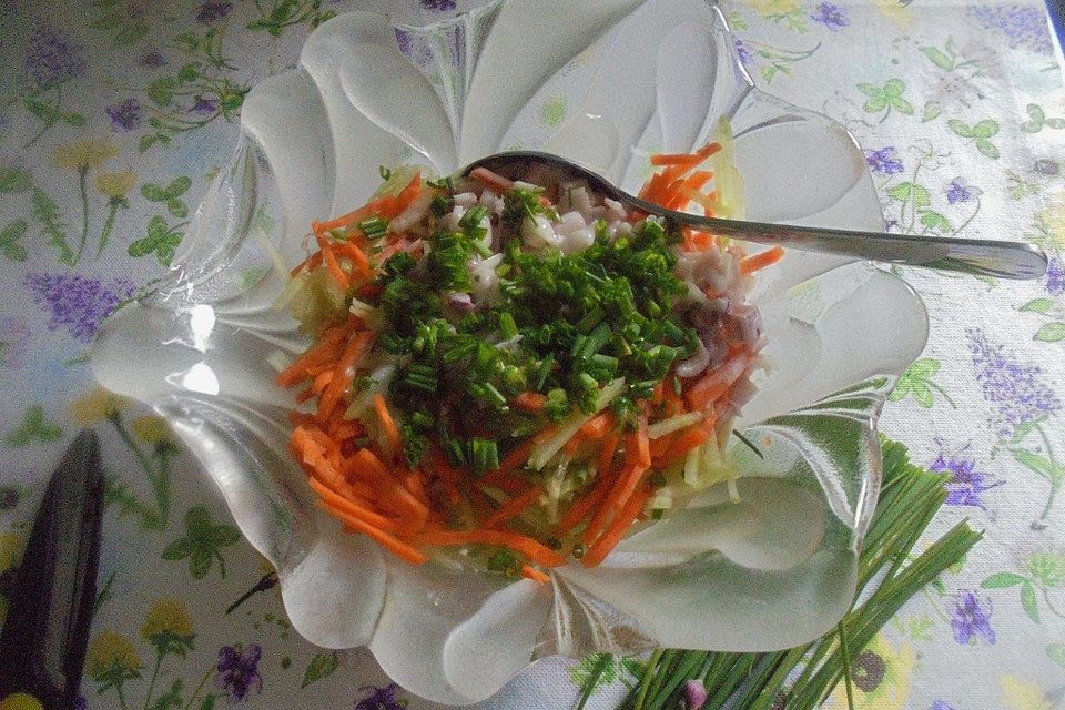 Gurken-Karotten-Salat Gurken-Karotten-Salat