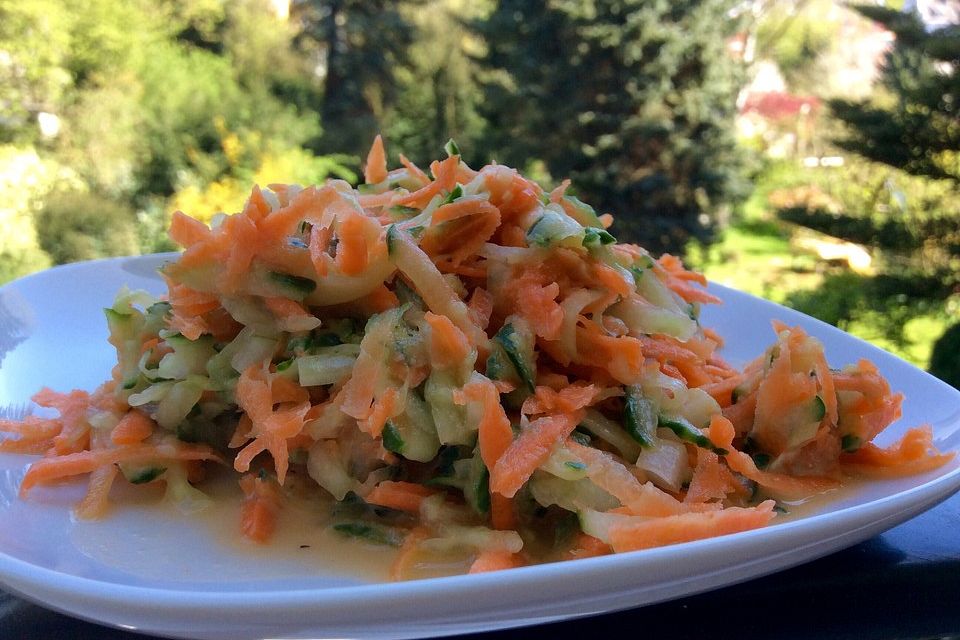 Gurken-Karotten-Salat Gurken-Karotten-Salat