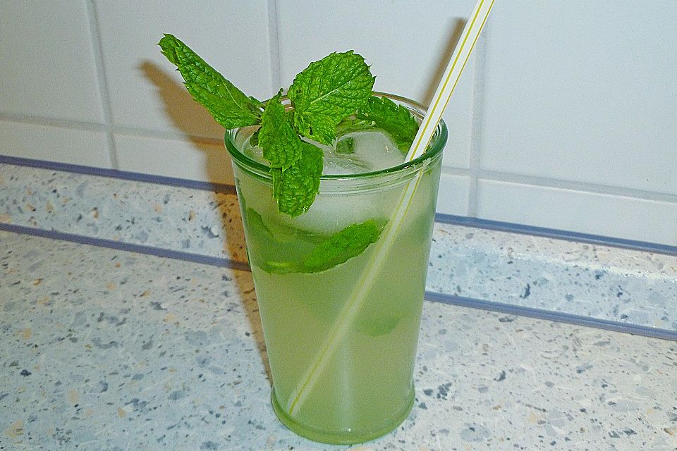 Mojito - European Style