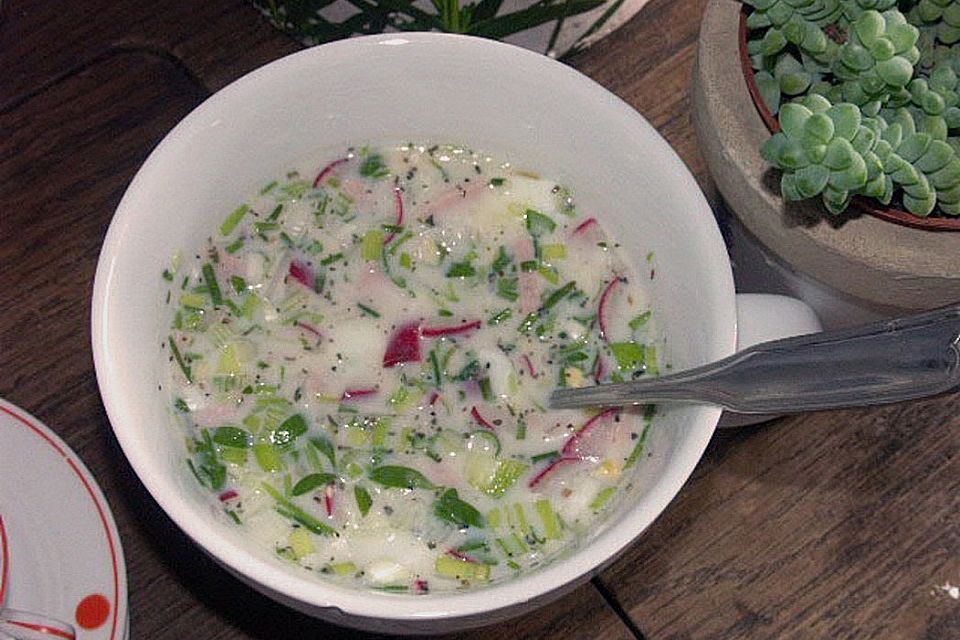 Frische russische Sommersuppe für heiße Tage