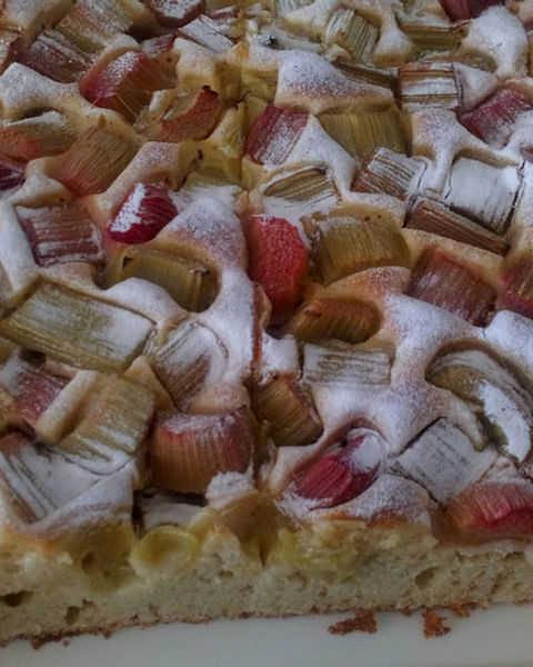 rhabarberkuchen-rezepte-chefkoch