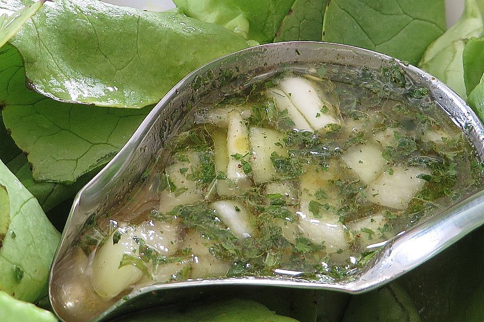 Andis Balsamicodressing