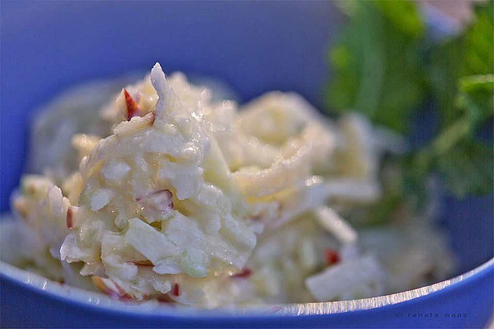 Kohlrabi-Apfel-Rohkost