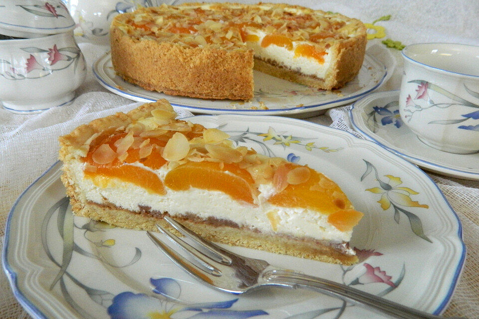 Aprikosen-Quark-Blechkuchen