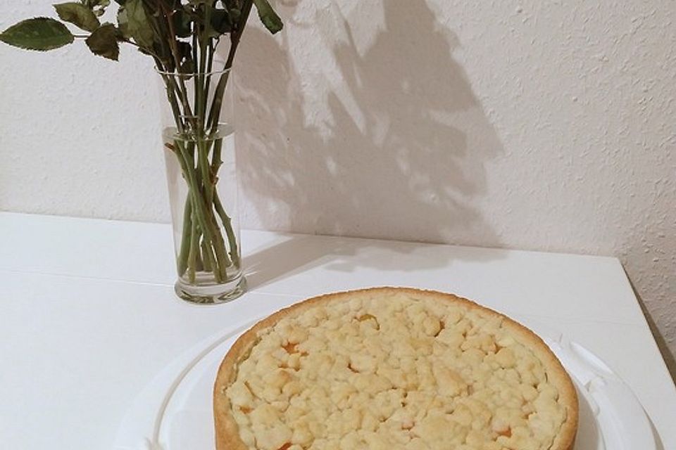 Aprikosen-Vanillecreme-Streusel Blechkuchen