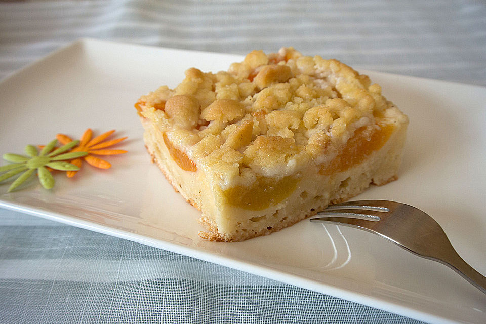 Aprikosen-Vanillecreme-Streusel Blechkuchen