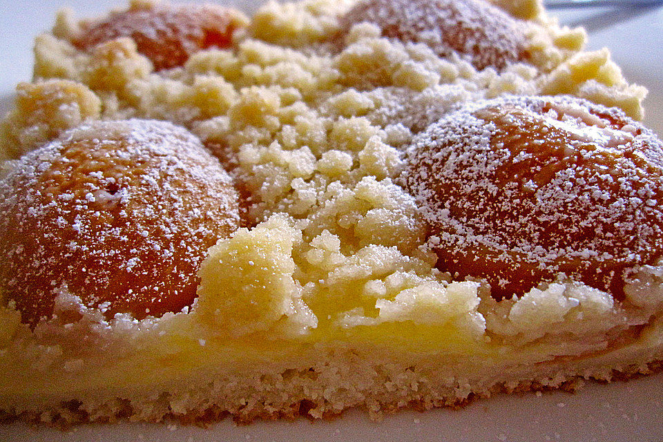 Aprikosen-Vanillecreme-Streusel Blechkuchen