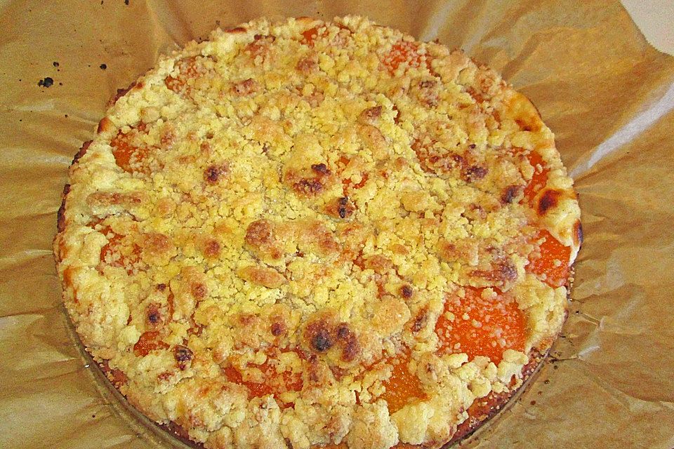 Aprikosen-Vanillecreme-Streusel Blechkuchen