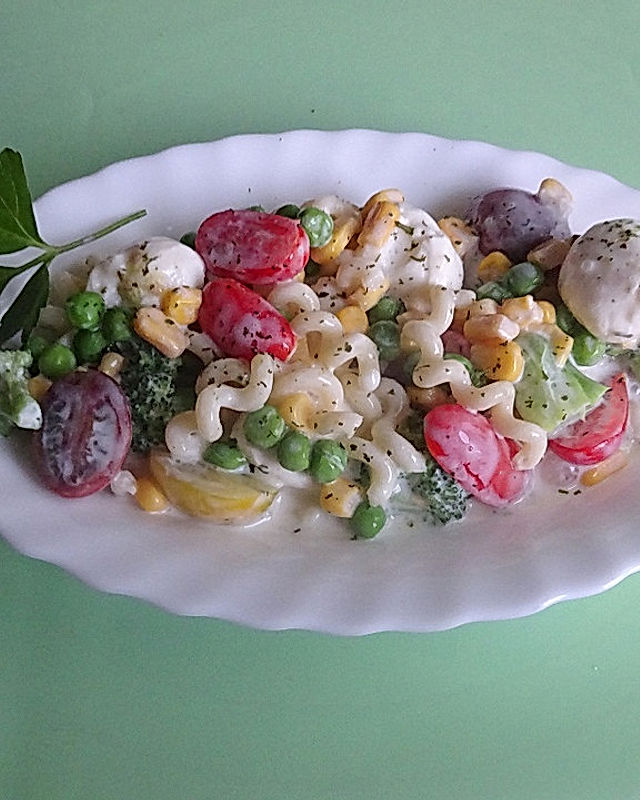 Nudel-Gemüse-Salat mit frischer Joghurt-Dill-Soße
