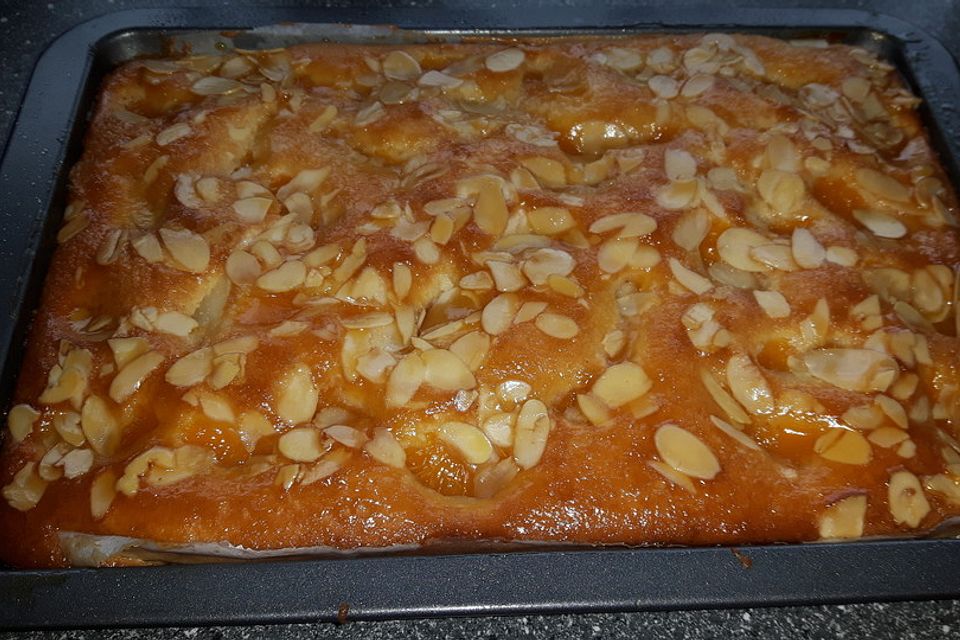 Altenburger Mandarinenkuchen