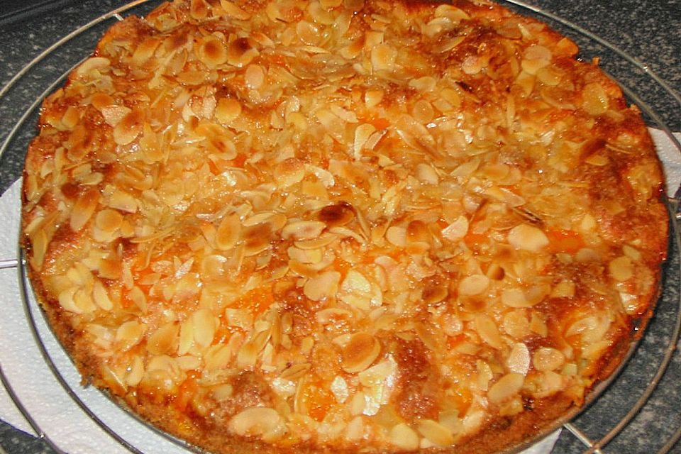 Altenburger Mandarinenkuchen