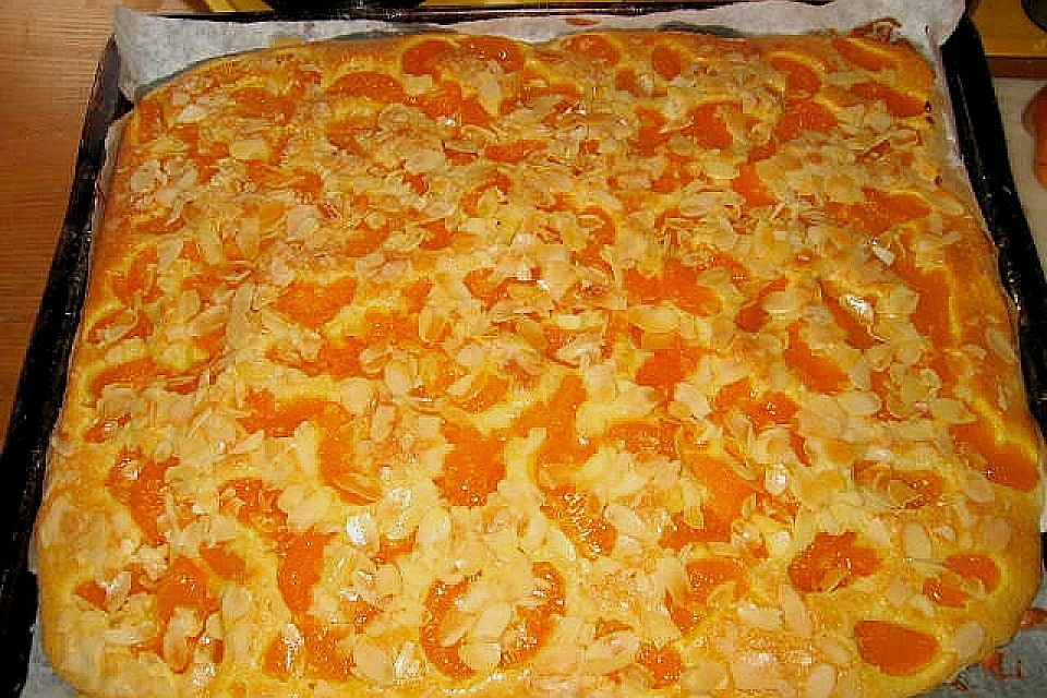 Altenburger Mandarinenkuchen